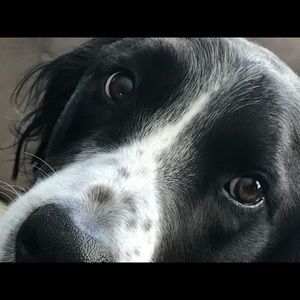 Meet your Posher, Mary